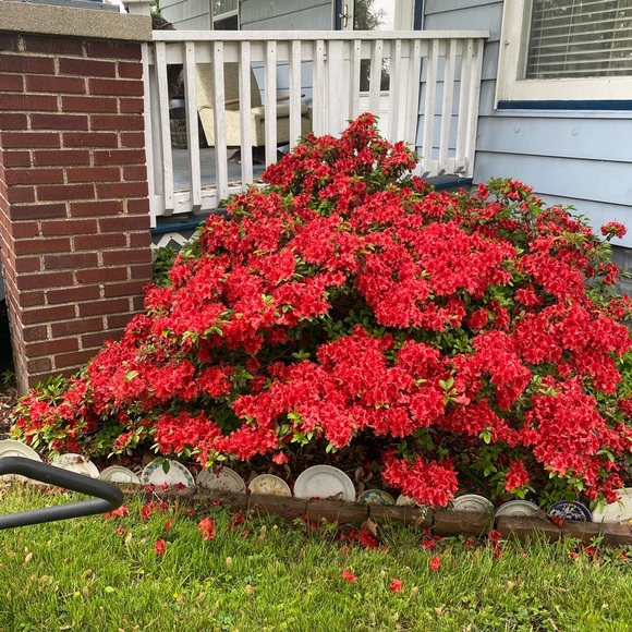 Meet your Posher, Julia - Picture 1 of 1